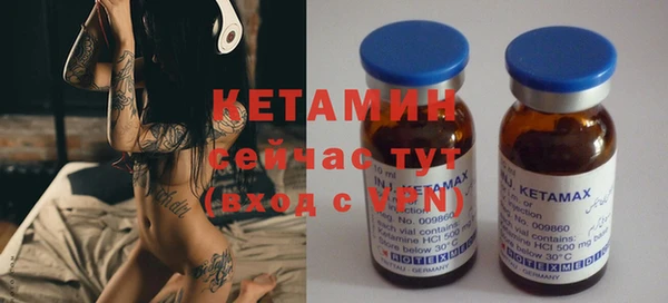 крисы Алексин